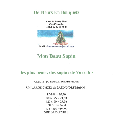 VENTE DE SAPINS